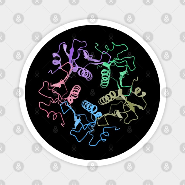 CholeratoxinB pentamer color Magnet by RosArt100